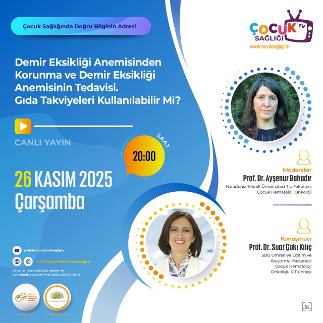 Demir Eksikliği Anemisinden Korunma ve Demir Eksikliği Anemisinin Tedavisi. Gıda Takviyeleri Kullanılabilir Mi?